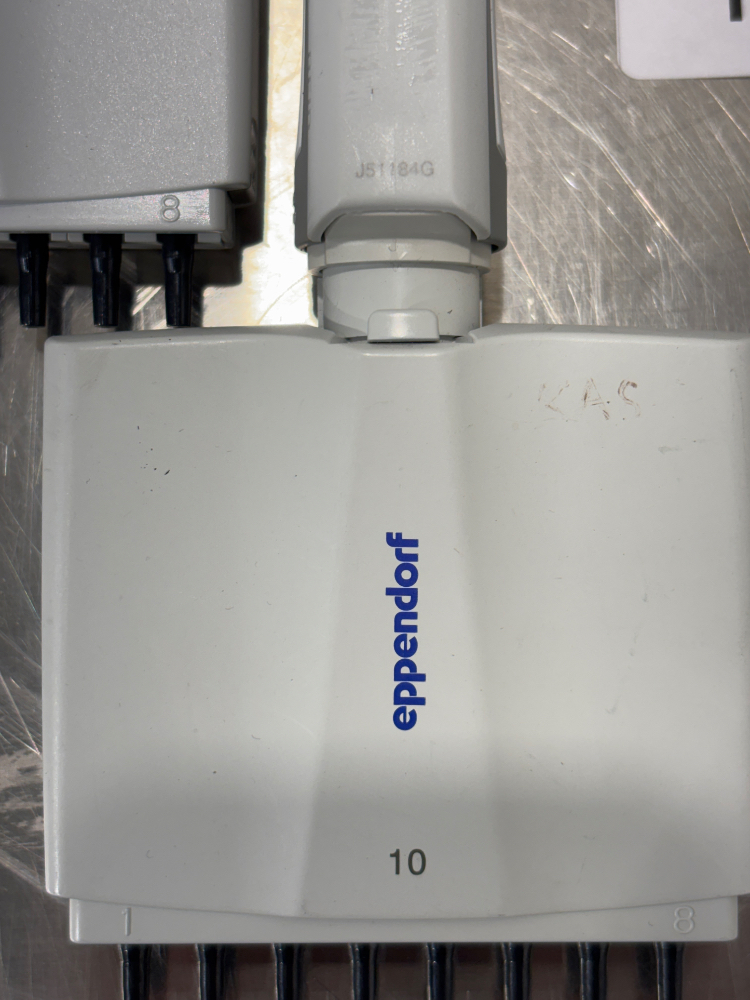 Image of Eppendorf Research Plus x6 Multichannel Pipettes